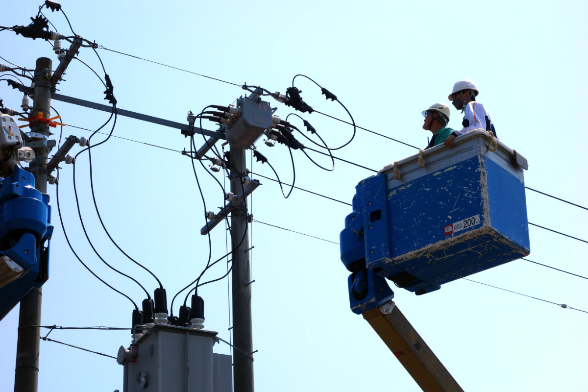電線の高さまで登りました。
